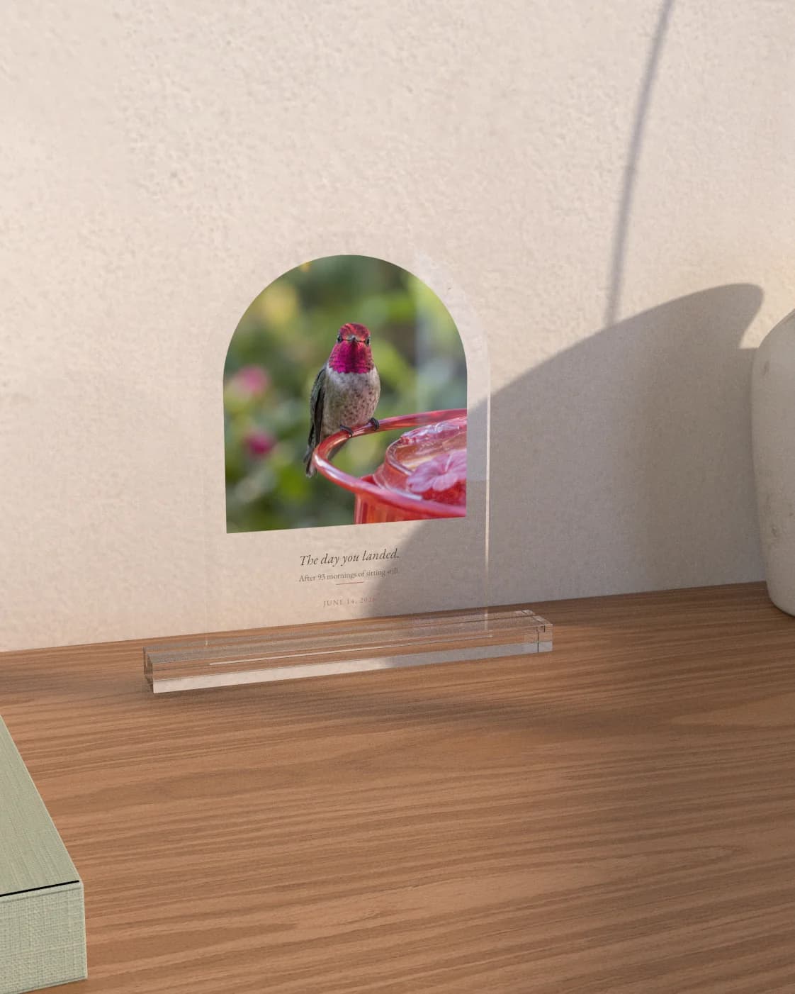 Example personalized hummingbird photo on a clear acrylic arch, displayed at home